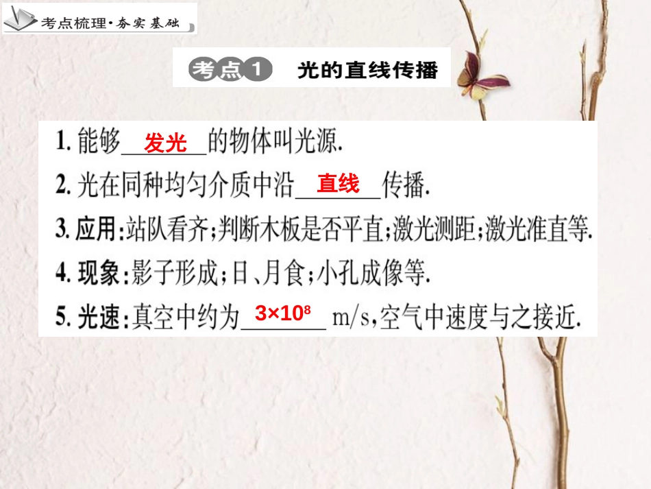 中考物理 专题4 光现象（一）复习课件_第3页