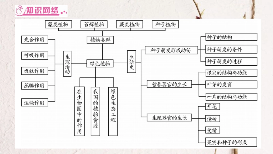 中考生物总复习 知能综合突破 专题2 生物圈中的绿色植物课件 北师大版(1)_第2页