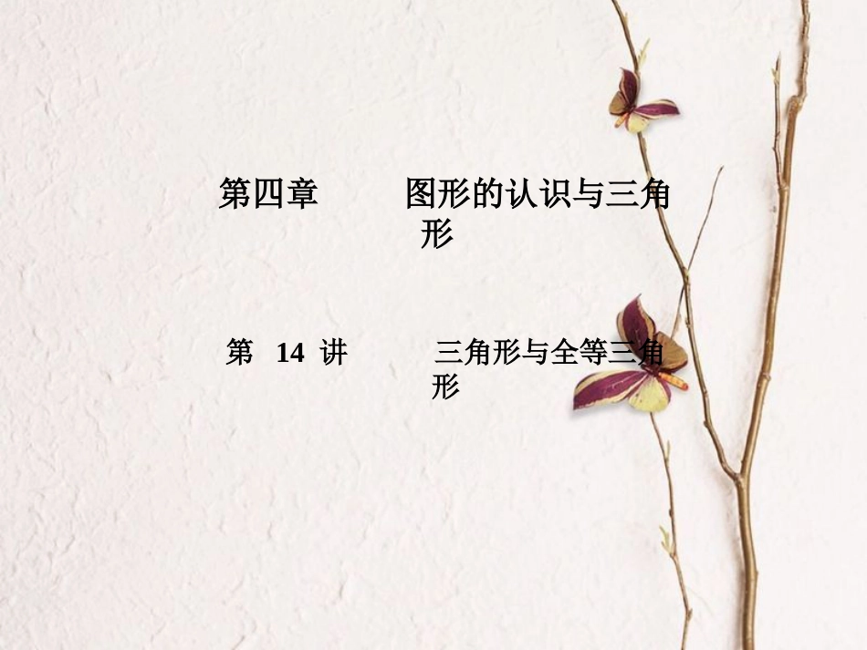 山东省德州市中考数学复习 第4章 图形的认识与三角形 第14讲 三角形与全等三角形课件_第1页