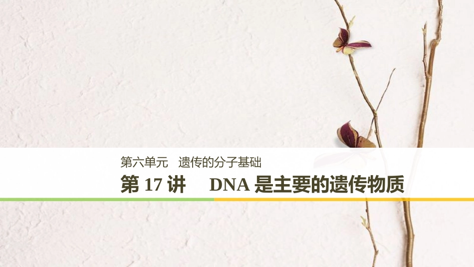 高考生物大一轮复习 第六单元 遗传的分子基础 第17讲 DNA是主要的遗传物质课件(1)_第1页