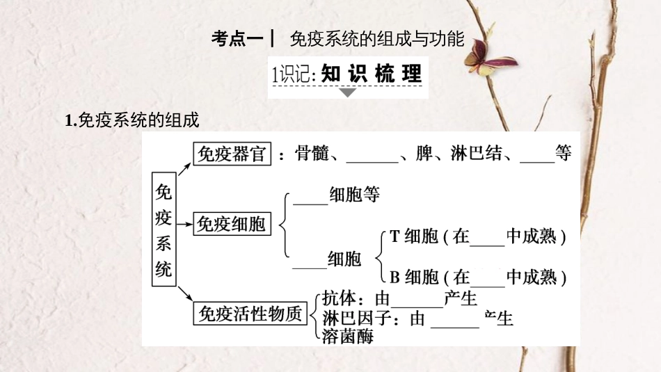 高三生物一轮复习 第8单元 第4讲 免疫调节课件 新人教版必修3_第2页