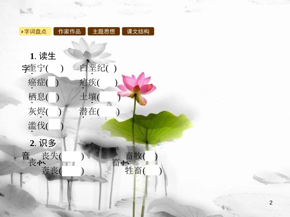 年八年级语文上册 第四单元 15 雨林的毁灭 世界性灾难课件 语文版(1)_第2页