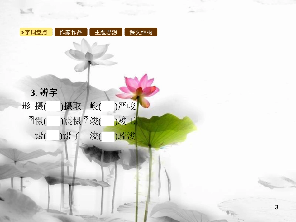 年八年级语文上册 第四单元 15 雨林的毁灭 世界性灾难课件 语文版(1)_第3页