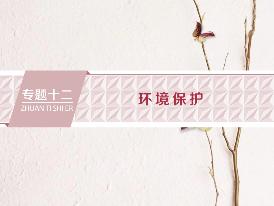 高考地理二轮复习 专题十二 环境保护课件_第1页