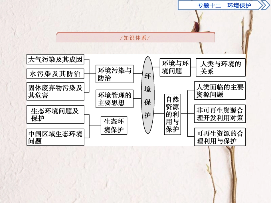 高考地理二轮复习 专题十二 环境保护课件_第2页