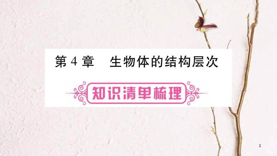 中考生物总复习 教材考点梳理 七上 第2单元 生物体的结构 第4章 生物体的结构层次课件 北师大版(1)_第1页