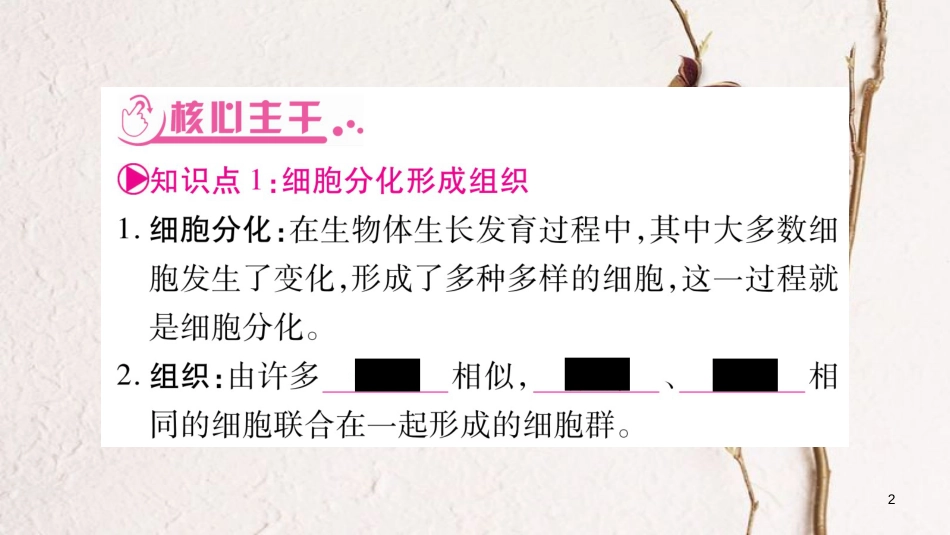 中考生物总复习 教材考点梳理 七上 第2单元 生物体的结构 第4章 生物体的结构层次课件 北师大版(1)_第2页