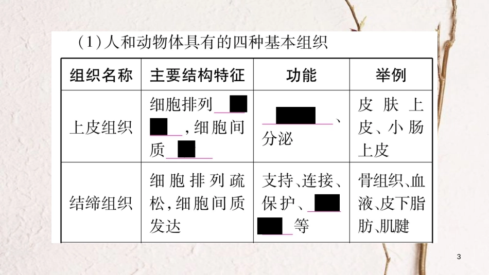 中考生物总复习 教材考点梳理 七上 第2单元 生物体的结构 第4章 生物体的结构层次课件 北师大版(1)_第3页