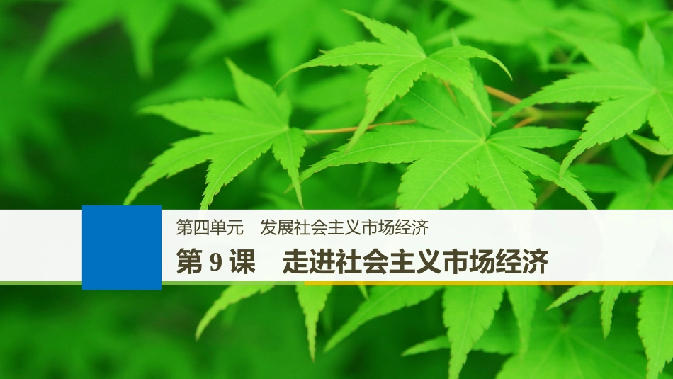 （江苏专版）2019届高考政治一轮复习 第四单元 发展社会主义市场经济 第9课 走进社会主义市场经济课件 新人教版必修1_第1页