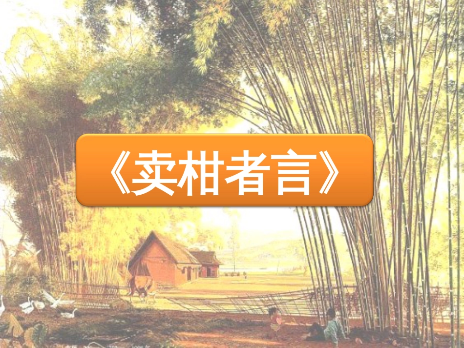 九年级语文下册 第四单元 第17课《卖柑者言》课件2 鲁教版五四制_第2页