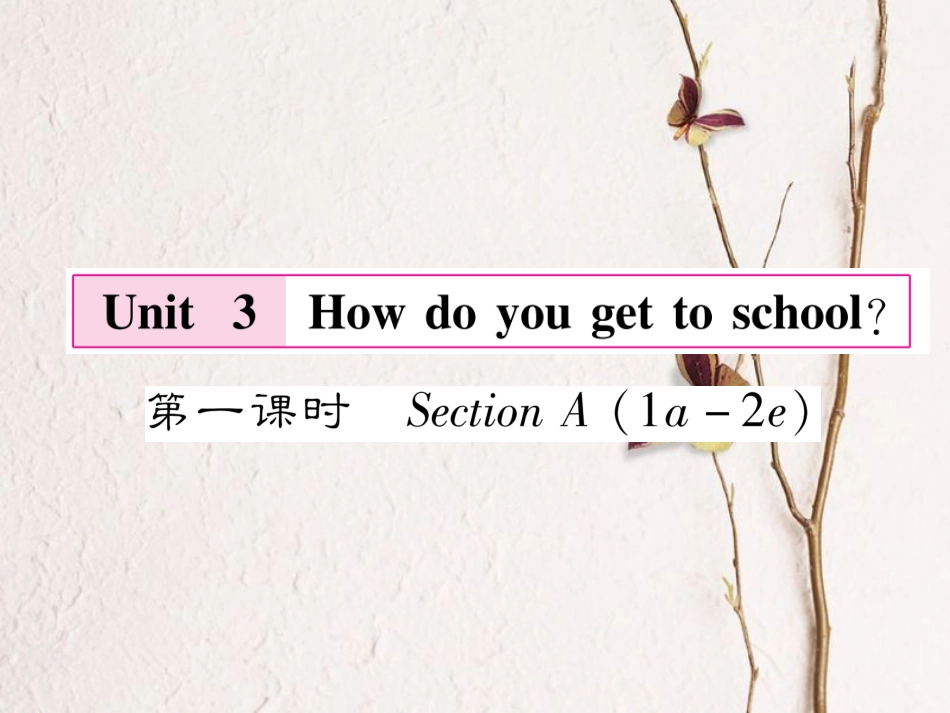 （遵义专版）七年级英语下册 Unit 3 How do you get to school（第1课时）课件 （新版）人教新目标版_第1页