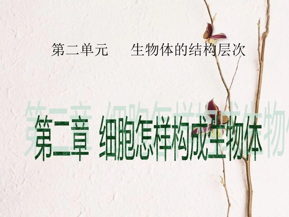 广东省中考生物 第二单元 生物体的结构层次 第二章 细胞怎样构成生物体课件_第1页