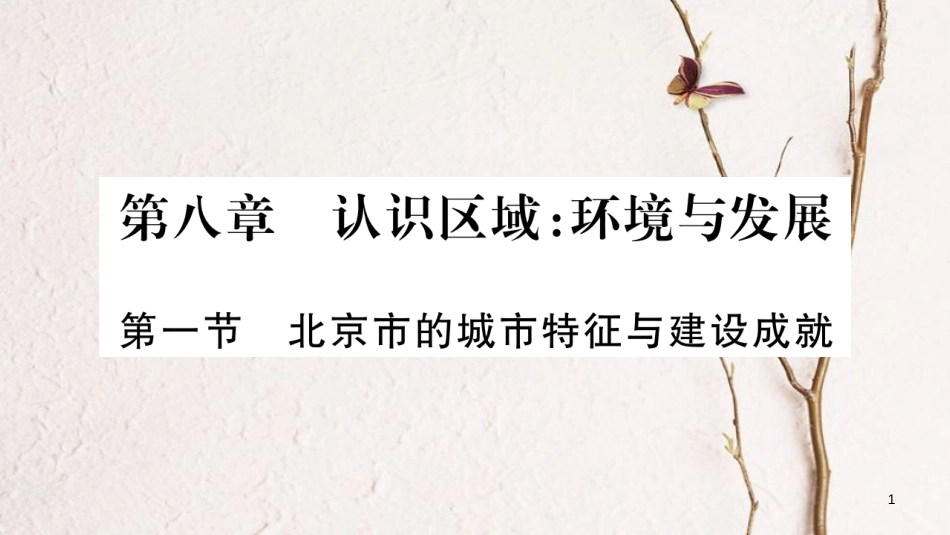 八年级地理下册 第八章 认识区域：环境与发展课件 （新版）湘教版(1)_第1页