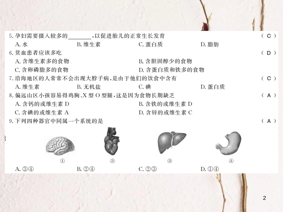 七年级生物下册 第8章 人体的营养测评卷课件 （新版）北师大版_第2页