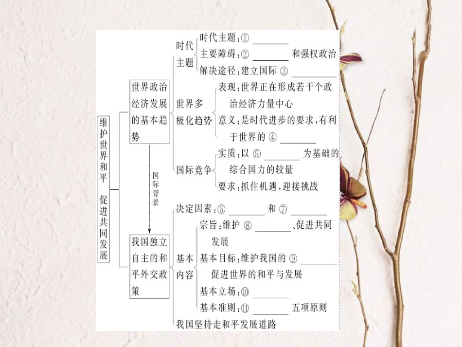 2019年高考政治一轮复习 第四单元 当代国际社会 9 维护世界和平促进共同发展课件 新人教版必修2[共56页]_第3页