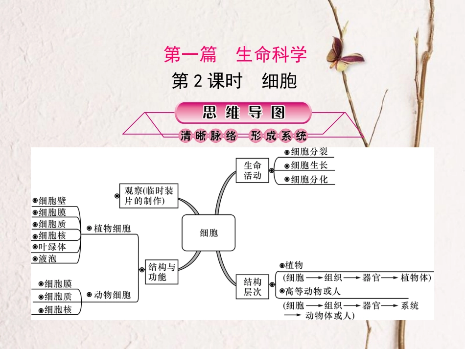 浙江省中考科学复习 第一篇 生命科学 第2课时 细胞课件(1)_第1页