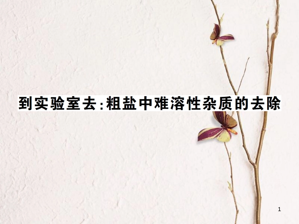 九年级化学下册 第八单元 海水中的化学 到实验室去 粗盐中难溶性杂志的去除习题课件 （新版）鲁教版(1)_第1页