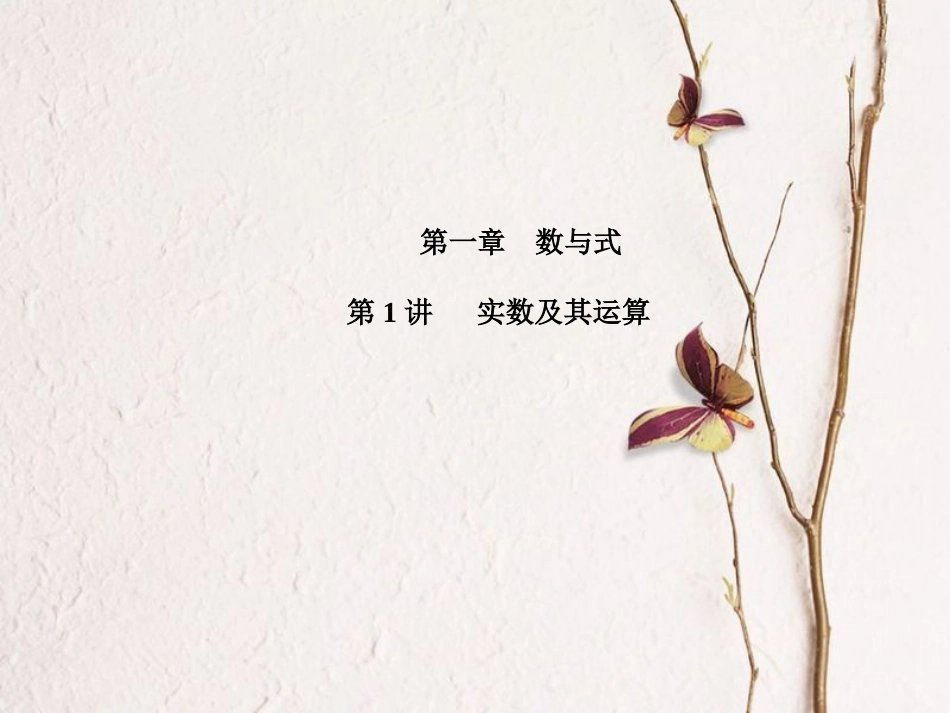山东省滨州市中考数学复习 第1章 数与式 第1讲 实数及其运算课件_第1页