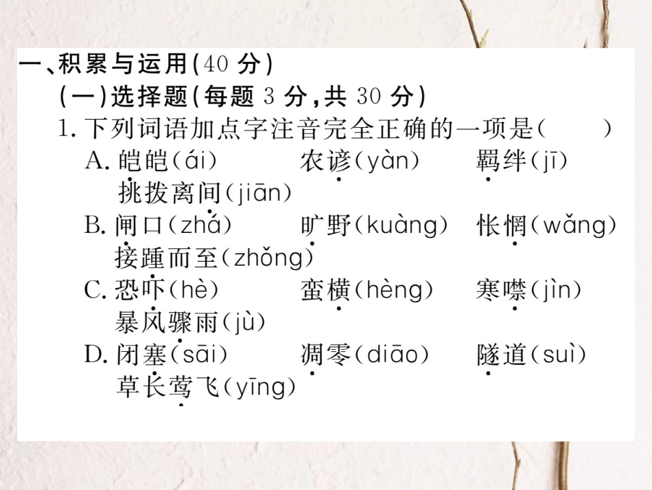 八年级语文下册 期末检测卷A课件 新人教版(1)_第2页