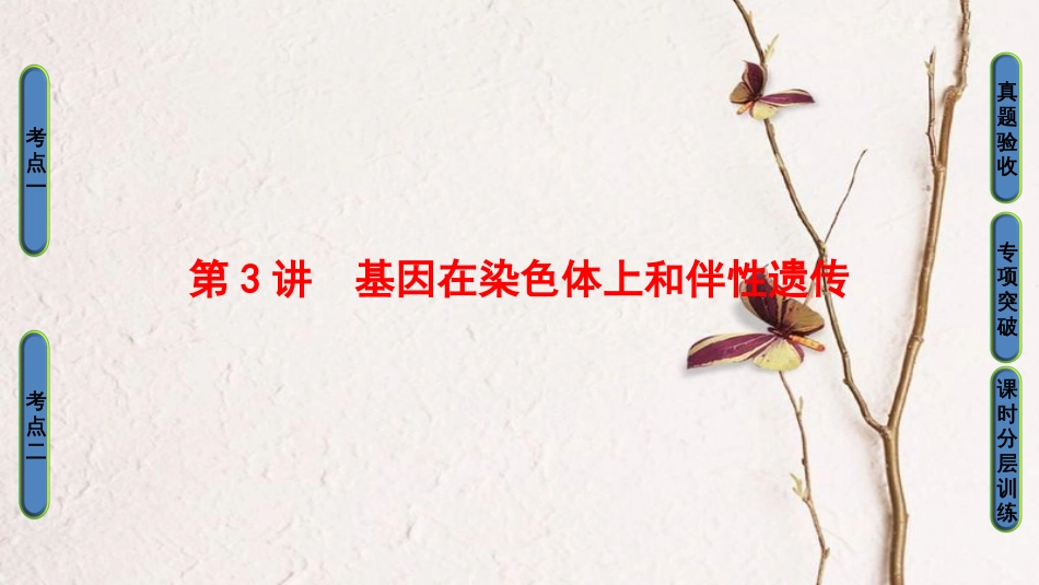 高三生物一轮复习 第5单元 第3讲 基因在染色体上和伴性遗传课件 新人教版必修2(1)_第1页