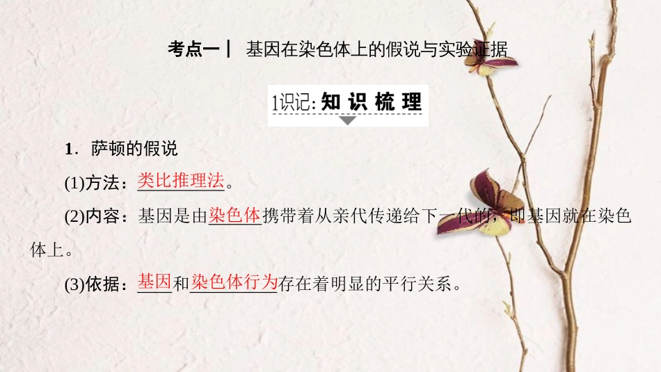 高三生物一轮复习 第5单元 第3讲 基因在染色体上和伴性遗传课件 新人教版必修2(1)_第2页
