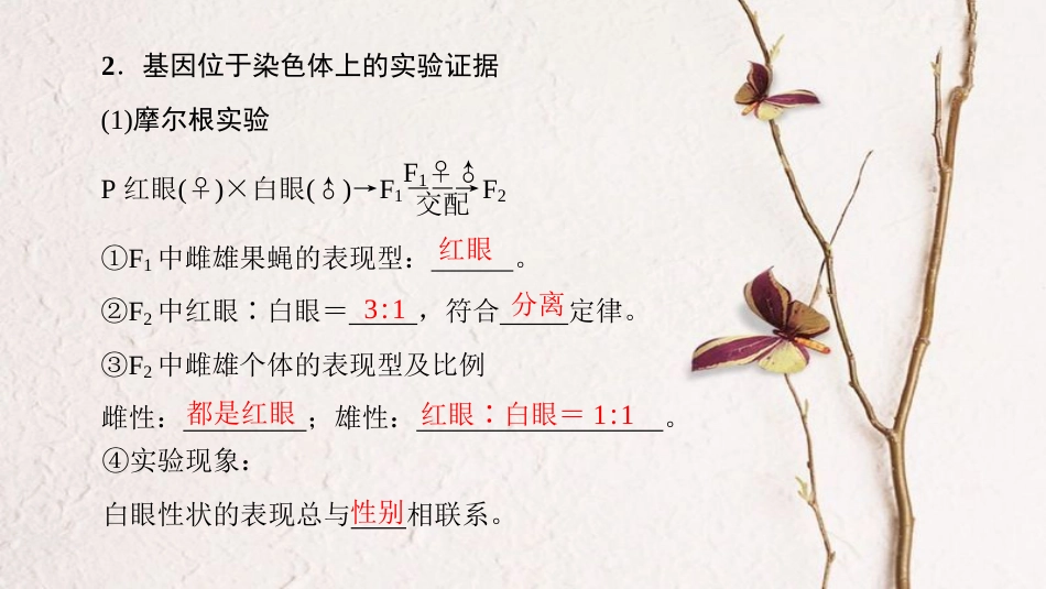 高三生物一轮复习 第5单元 第3讲 基因在染色体上和伴性遗传课件 新人教版必修2(1)_第3页