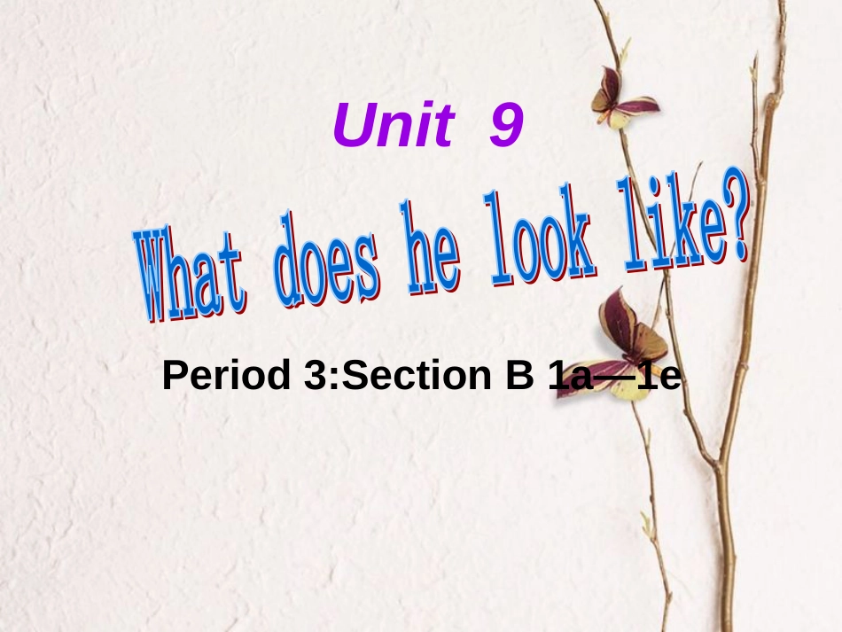 七年级英语下册 Unit 9 What does he look like Period 3教学课件 （新版）人教新目标版_第1页