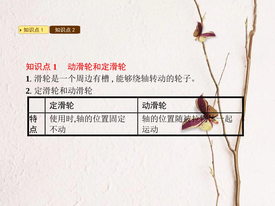 八年级物理下册 6.6探究滑轮的作用课件 （新版）粤教沪版[共18页]_第2页