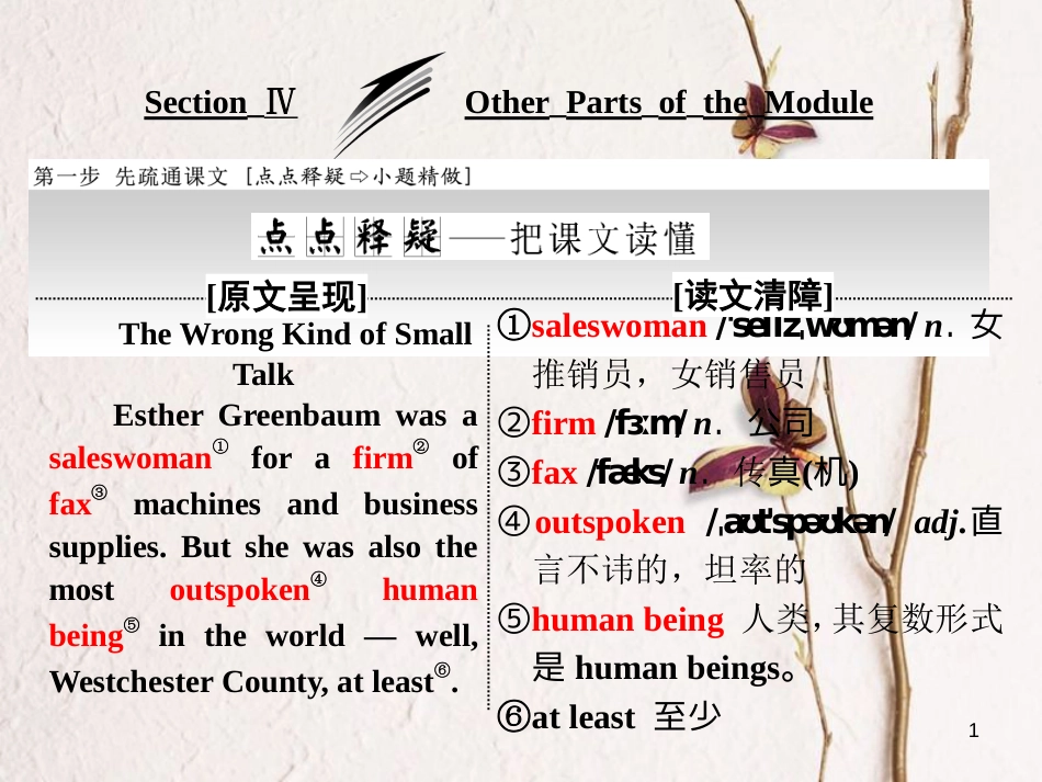 高中英语 Module 1 Small Talk Section Ⅳ Other Parts of the Module课件 外研版选修6_第1页