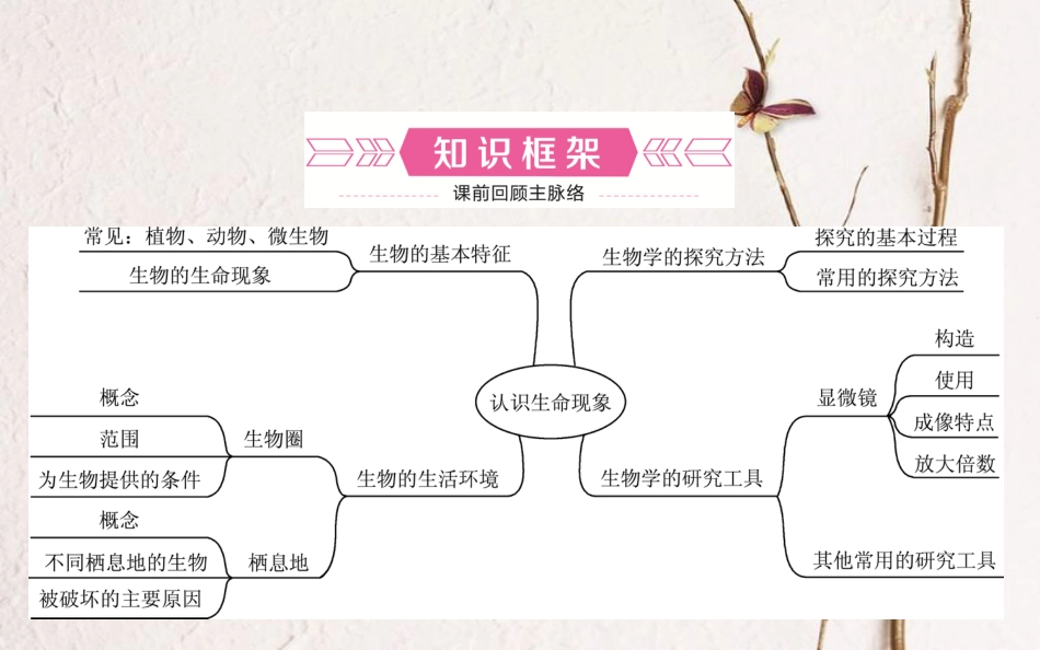 山东省济南市中考生物 第一单元 奇妙的生命现象 第一章 认识生命现象课件(1)_第2页