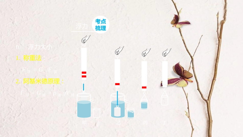 中考物理 重难点突破 力学实验精析（二）课件 新人教版(1)_第3页