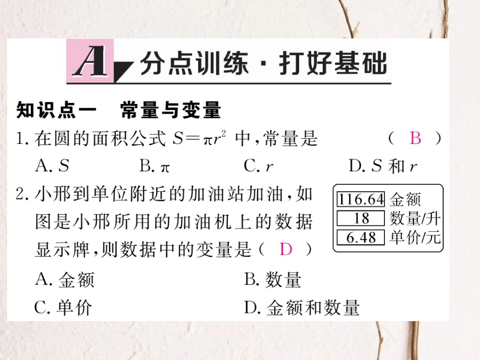 贵州省春八年级数学下册 19.1 变量与函数 19.1.1 变量与函数 第1课时 常量与变量作业课件 （新版）新人教版_第2页