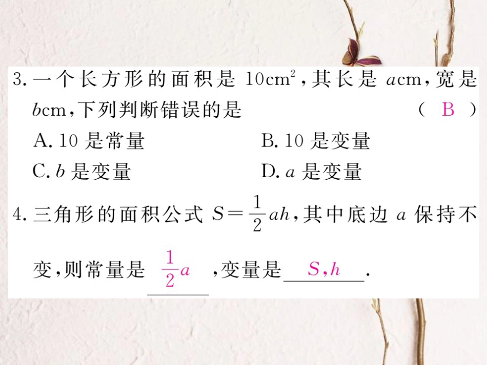 贵州省春八年级数学下册 19.1 变量与函数 19.1.1 变量与函数 第1课时 常量与变量作业课件 （新版）新人教版_第3页