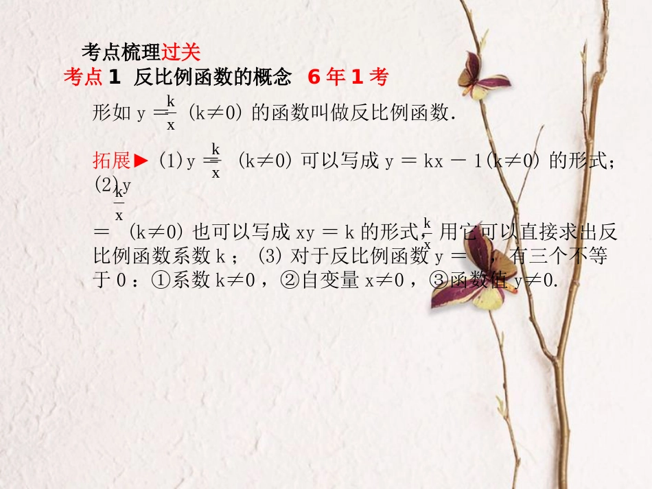 山东省滨州市中考数学复习 第3章 函数及其图象 第11讲 反比例函数课件_第2页