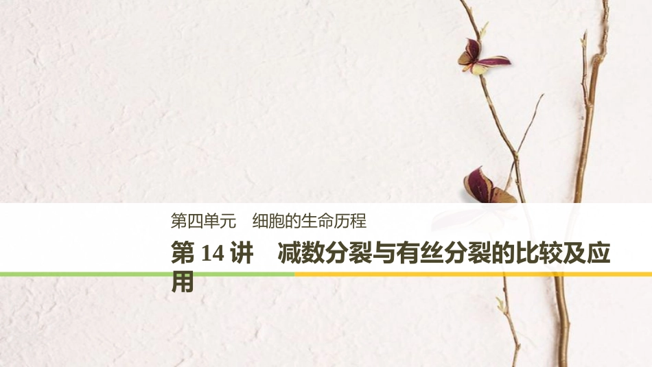 高考生物一轮复习 第4单元 细胞的生命历程 第14讲 减数分裂与有丝分裂的比较及应用课件_第1页