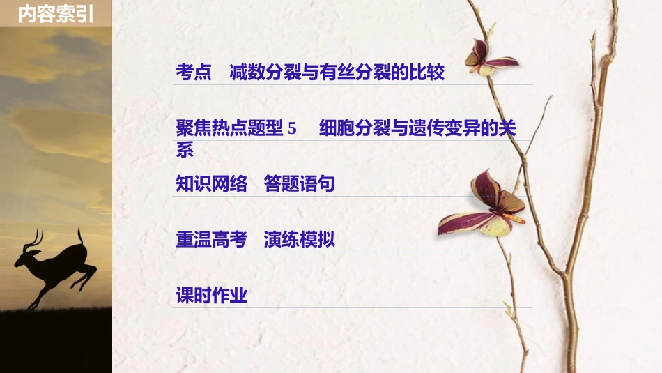 高考生物一轮复习 第4单元 细胞的生命历程 第14讲 减数分裂与有丝分裂的比较及应用课件_第3页