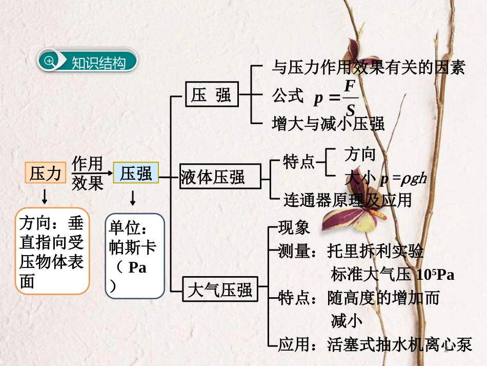 八年级物理下册 第九章 压强小结与复习课件 （新版）新人教版(1)_第2页