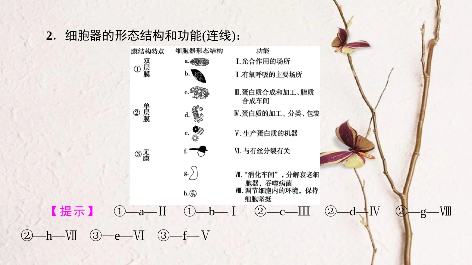 高三生物一轮复习 第2单元 细胞器-系统内的分工合作课件 新人教版必修1(1)_第3页