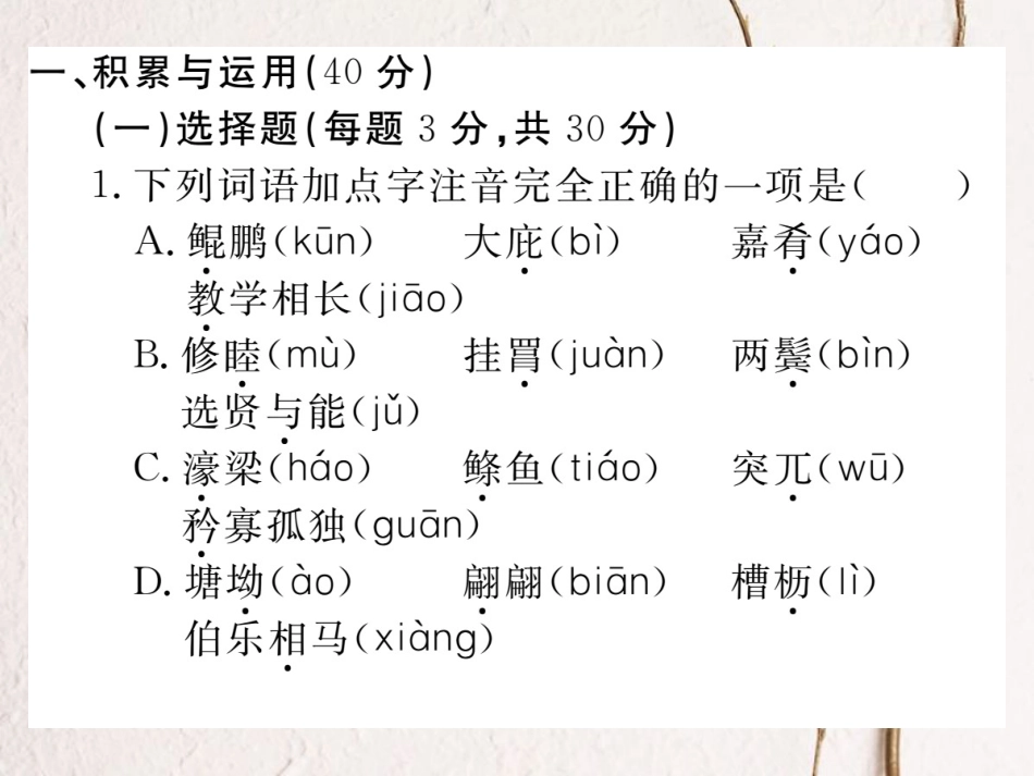 八年级语文下册 第六单元检测卷课件 新人教版(1)_第2页