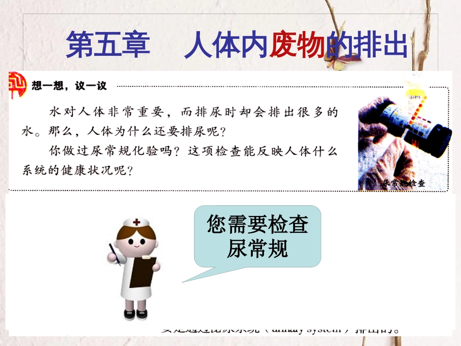 吉林省长春市七年级生物下册 4.5.1人体内废物的排出课件1 新人教版_第1页