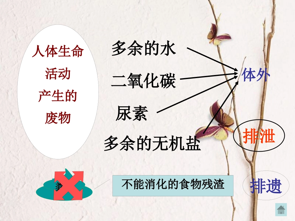 吉林省长春市七年级生物下册 4.5.1人体内废物的排出课件1 新人教版_第2页