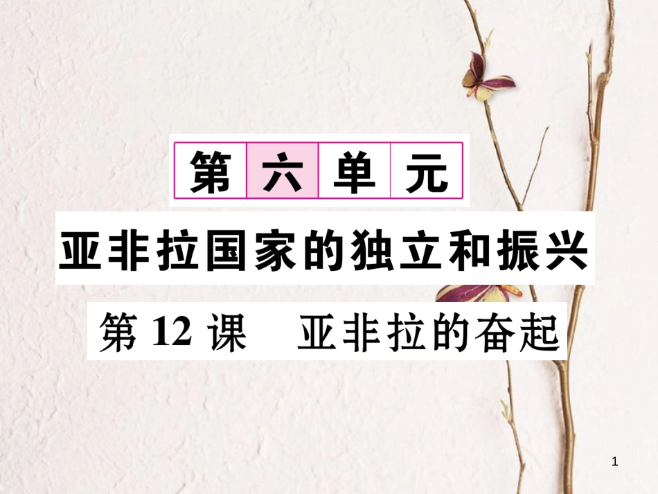 九年级历史下册 第六单元 亚非拉国家的独立和振兴 第12课 亚非拉的奋起作业课件 新人教版_第1页