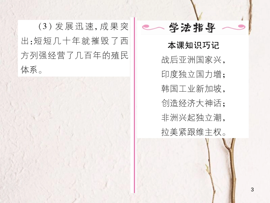 九年级历史下册 第六单元 亚非拉国家的独立和振兴 第12课 亚非拉的奋起作业课件 新人教版_第3页