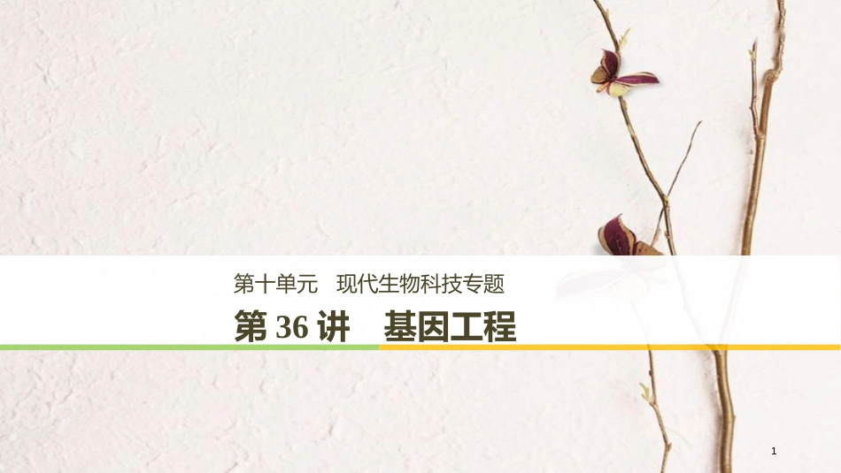高考生物一轮复习 第10单元 现代生物科技专题 第36讲 基因工程课件_第1页