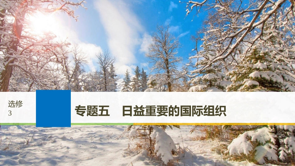 2019届高考政治一轮复习 专题五 日益重要的国际组织课件 新人教版选修3_第1页