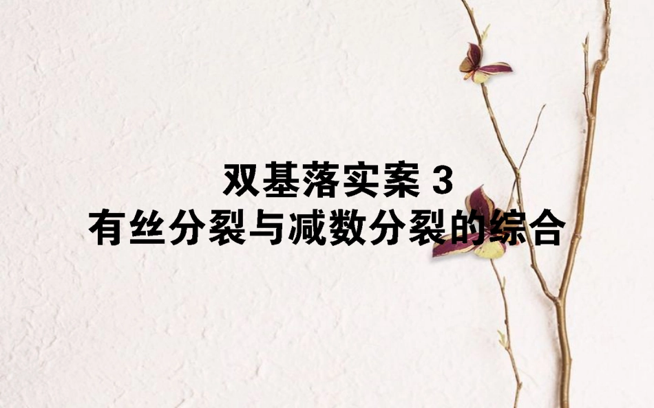 （全国通用）高考生物二轮复习 双基落实案3 有丝分裂与减数分裂的综合课件(1)_第1页
