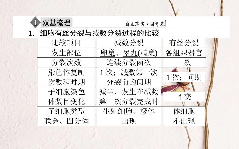 （全国通用）高考生物二轮复习 双基落实案3 有丝分裂与减数分裂的综合课件(1)_第3页