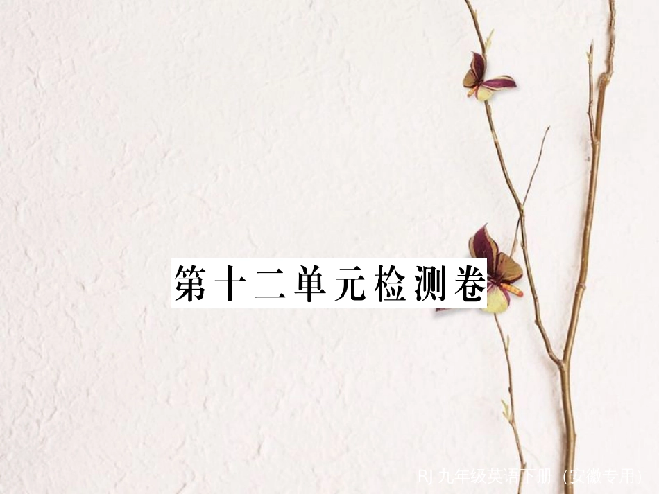 （安徽专版）九年级英语全册 Unit 12 Life is full of the unexpected检测卷课件 （新版）人教新目标版_第1页