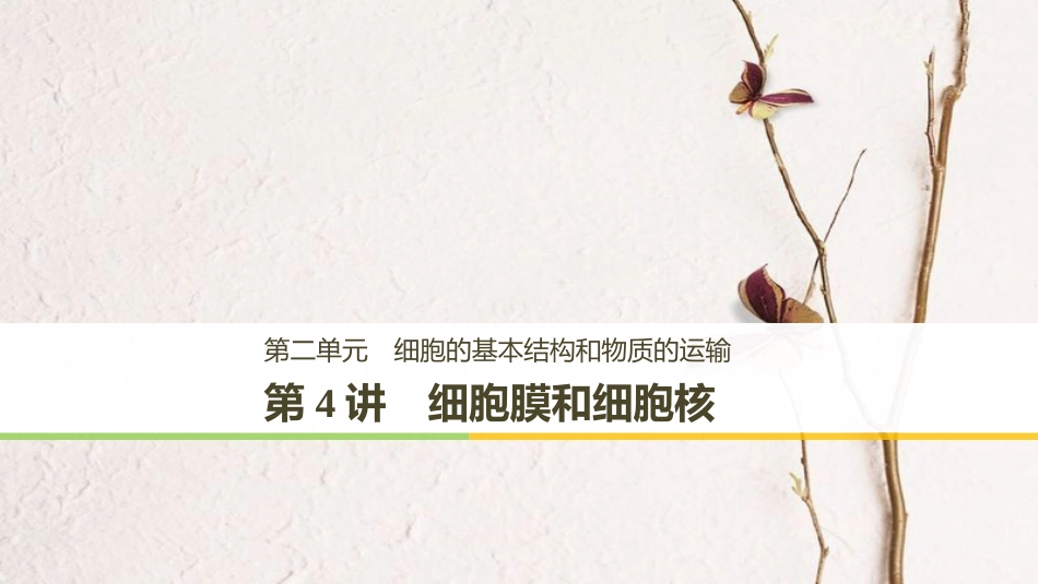 高考生物大一轮复习 第二单元 细胞的基本结构和物质的运输 第4讲 细胞膜和细胞核课件(1)_第1页