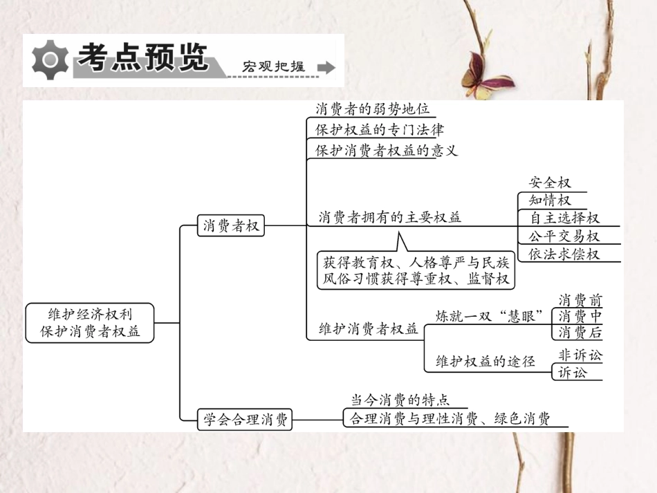 重庆市中考政治 专题复习十一 依法维护消费权利课件(1)_第3页